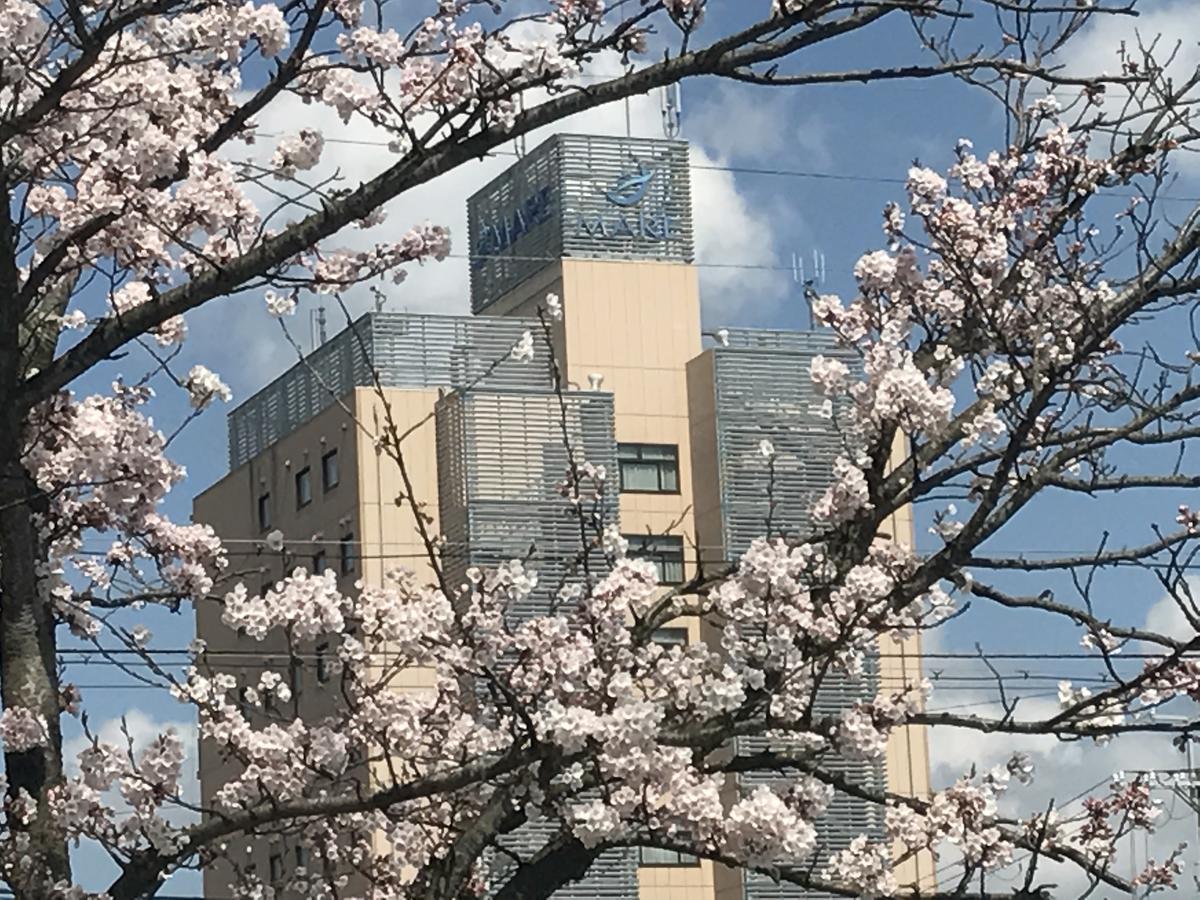 Hotel Bellmare ホテルベルマーレ Maizuru Buitenkant foto